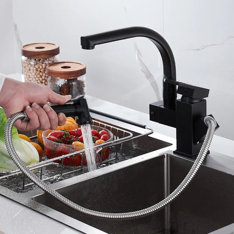 Pull Out Kitchen Faucet Stainless Steel Spring Spout